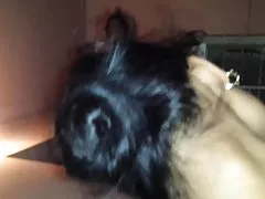 Porno katta dik hammom dan xonim fuck tortdi